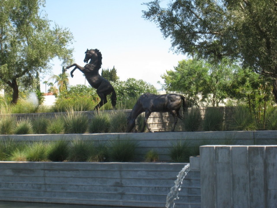 Horse Statues at McCormick Ranch | Christy Mooney Properties