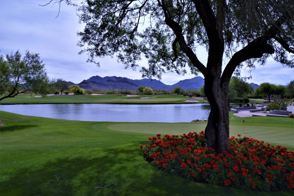 Lakeview at Grayhawk | Christy Mooney Properties